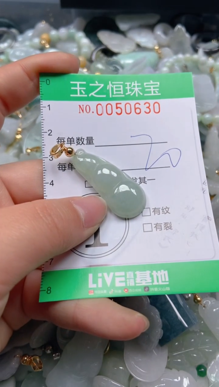 【闪购商品】翡翠颈饰未镶嵌闪购0050630