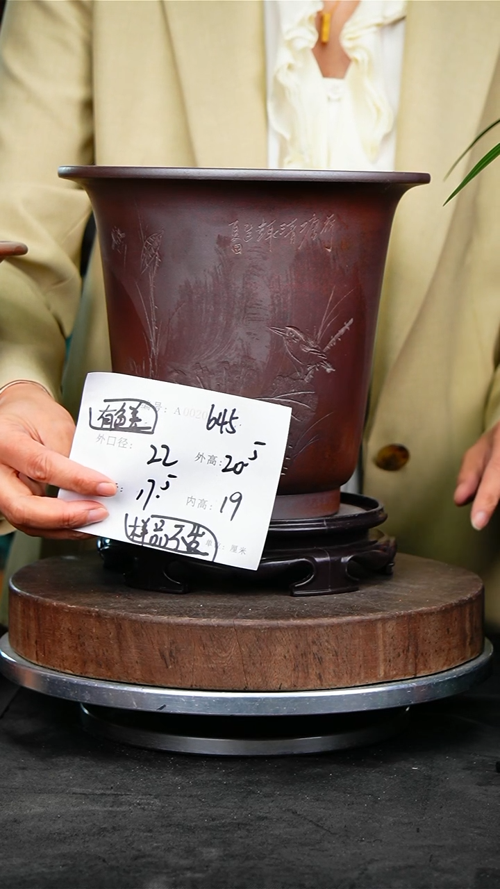 紫砂花盆645+s紫砂花盆颜色不挑