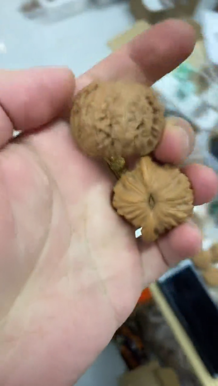 核桃【磨盘山地磨】#3977