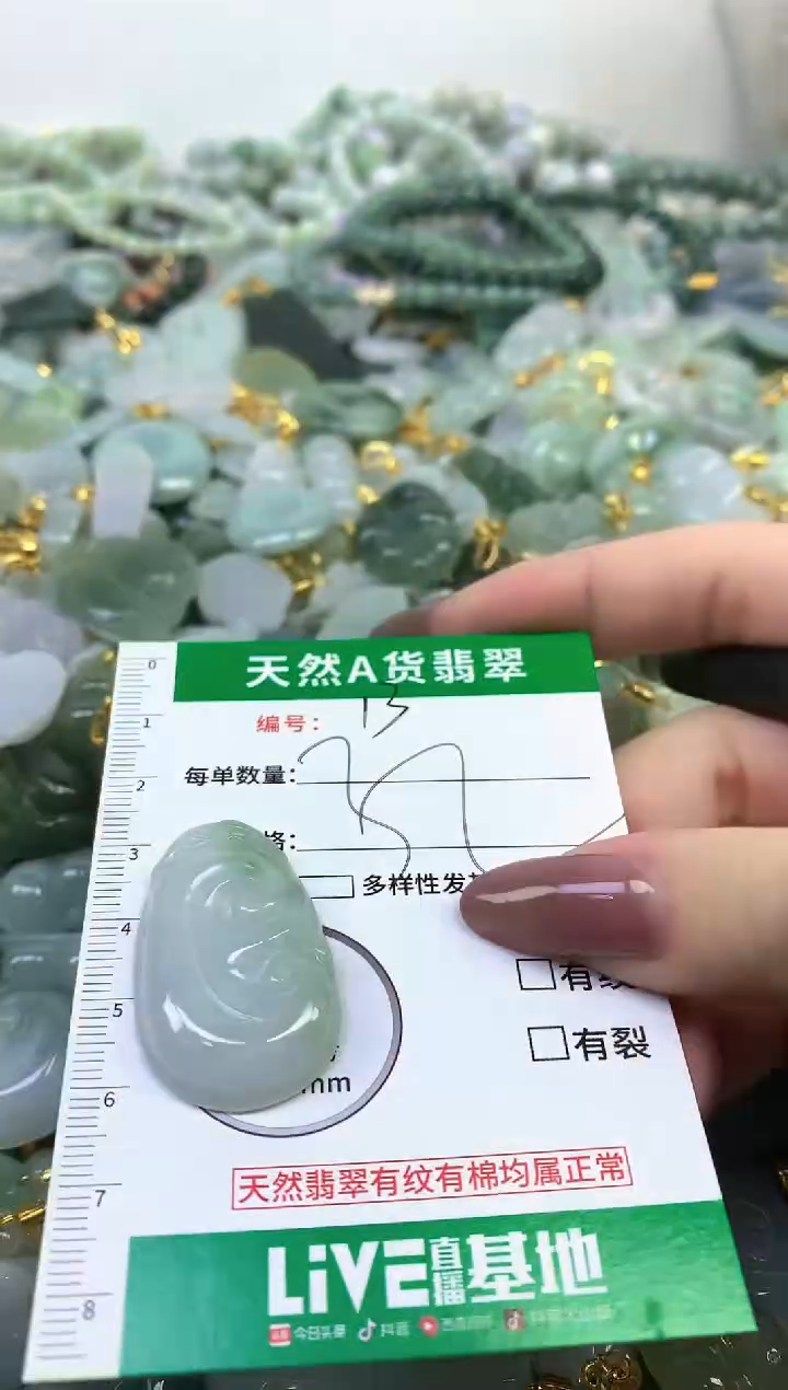 颈饰未镶嵌翡翠纯天然缅甸A货翡翠