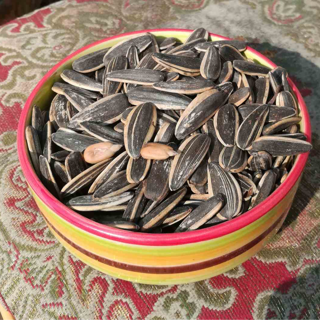 铁锅炒瓜子 纯手工炒制 现炒现发