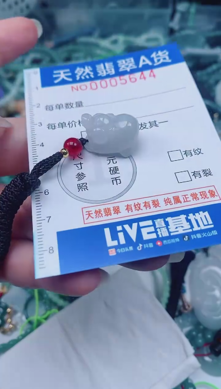 颈饰未镶嵌翡翠00005644