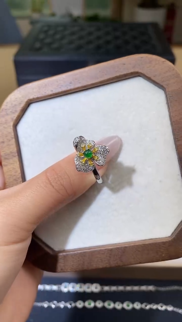 【闪购商品】翡翠戒指银S925镶嵌天然A货翡翠（多样性发一） 