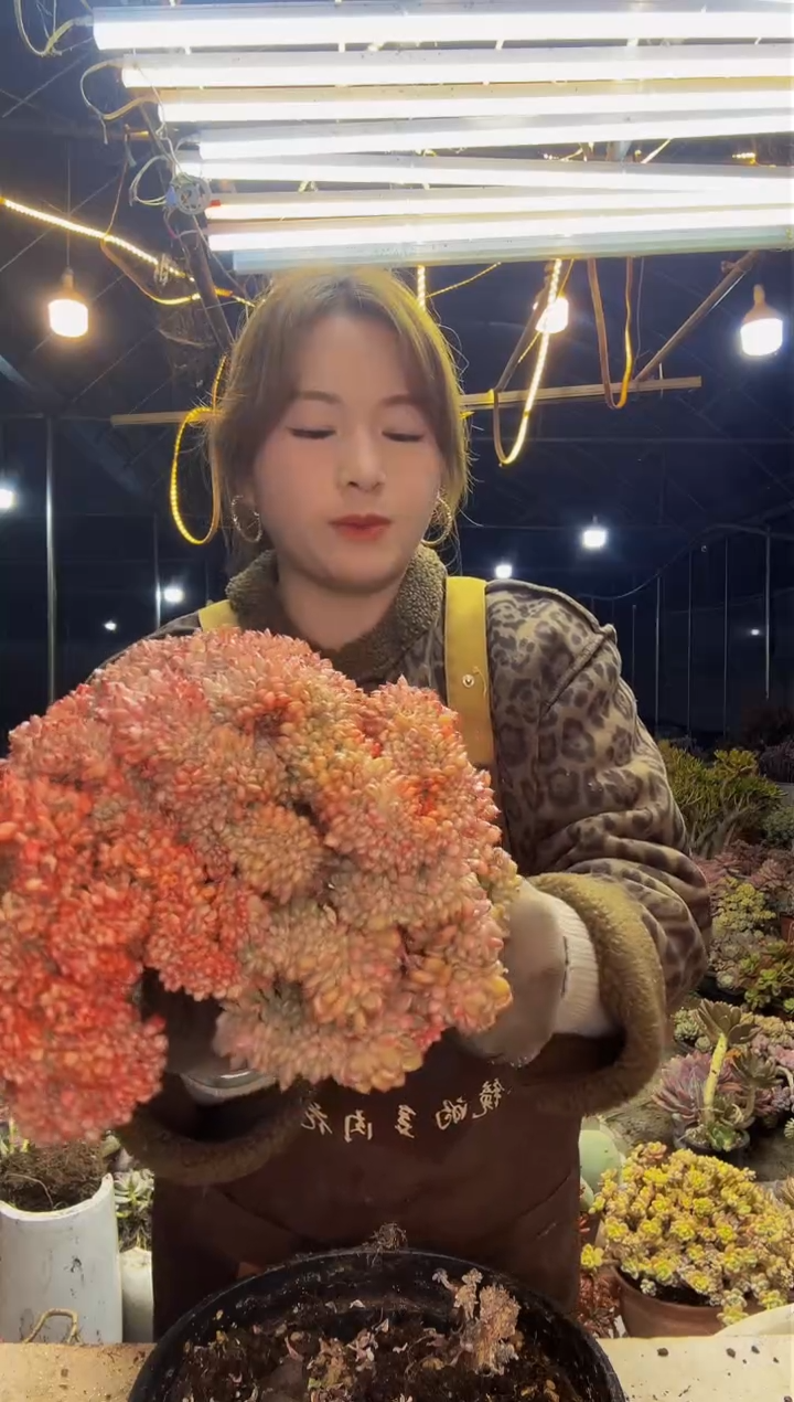 【闪购商品】玛瑙缀1号一物一拍（包邮）