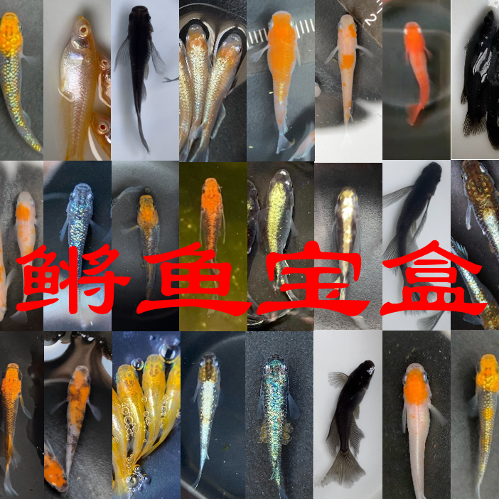 <一物一拍>补快递费