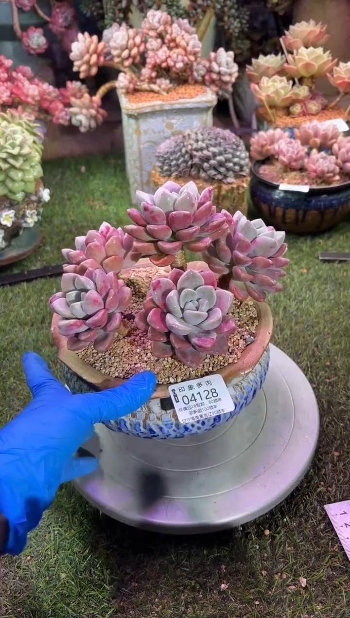 【闪购商品】04128