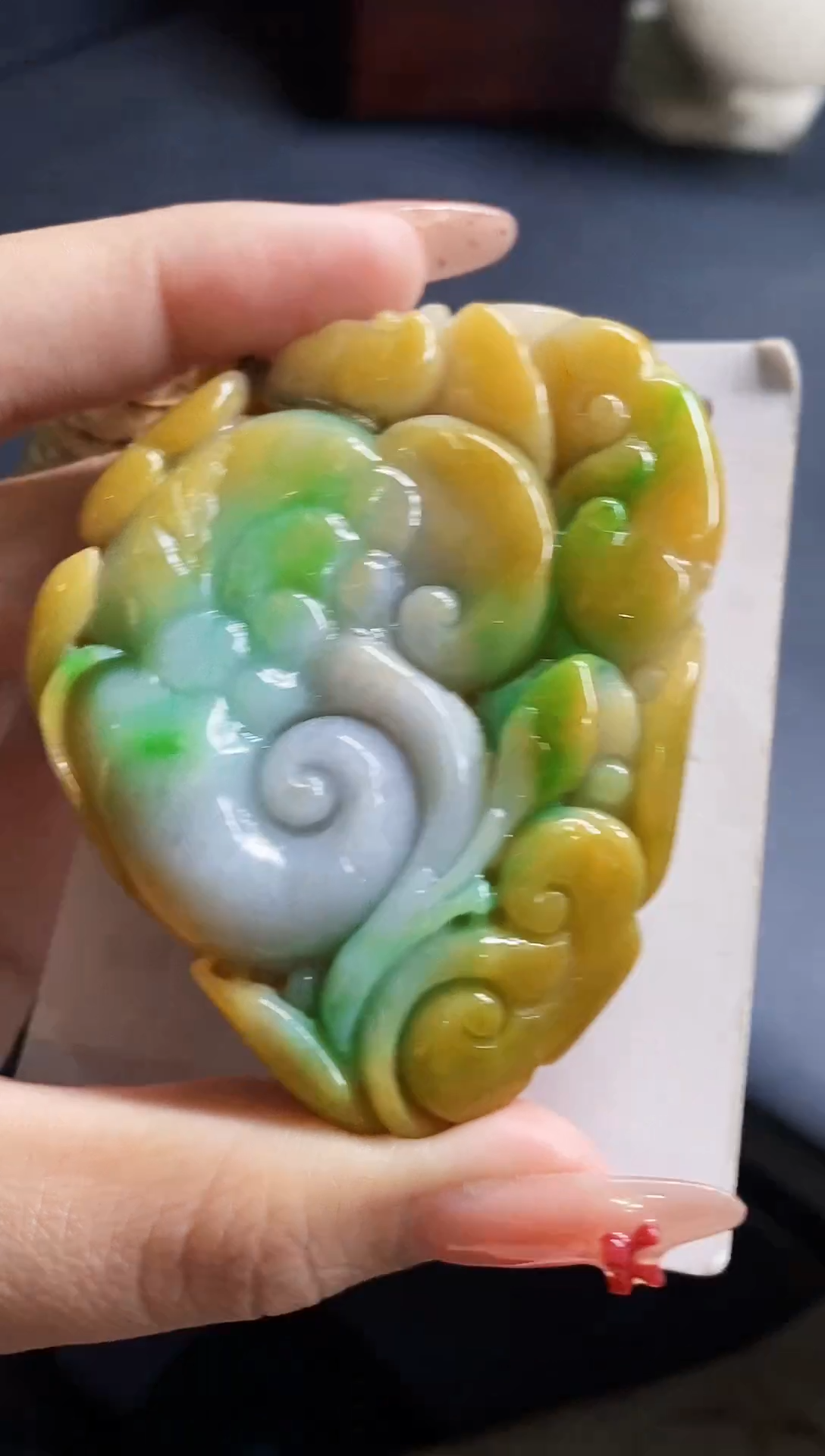 颈饰未镶嵌翡翠翡翠A货