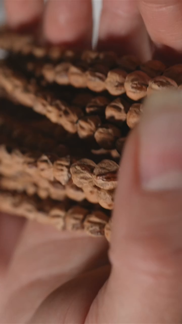 【闪购商品】柏香籽/百香籽吊坠SSS08百香长串