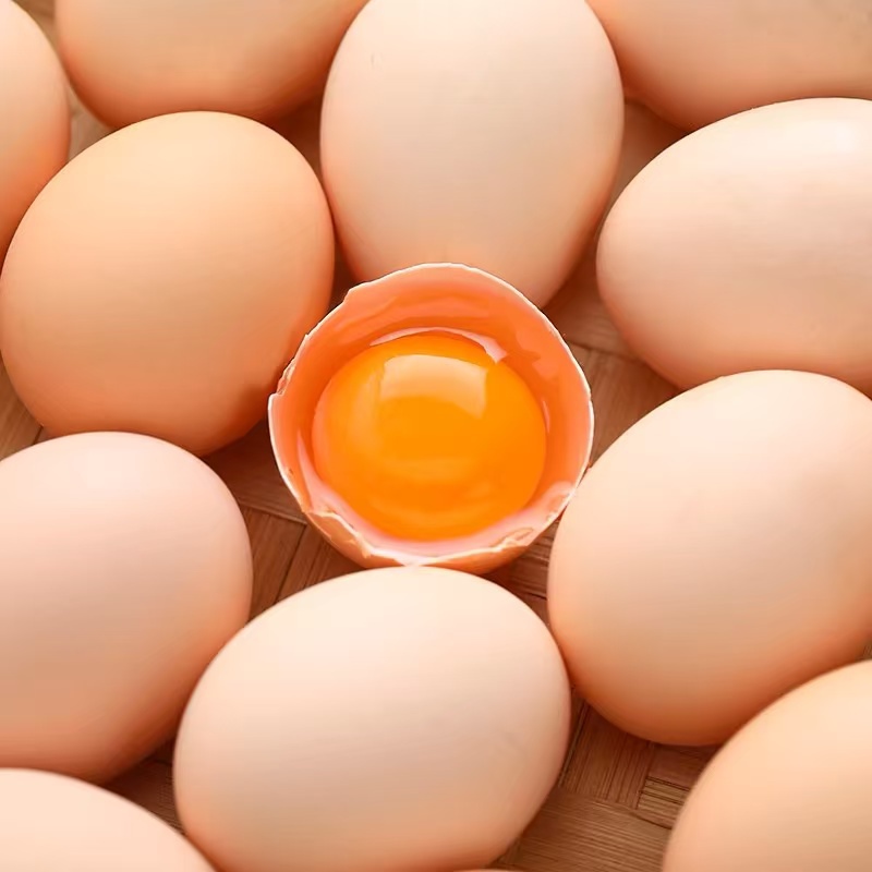 【供销合作社】新客福利   新鲜谷物蛋土鸡蛋谷饲喂养正宗农家散养