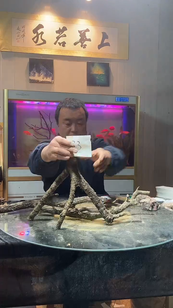 直播间33号黄栎木