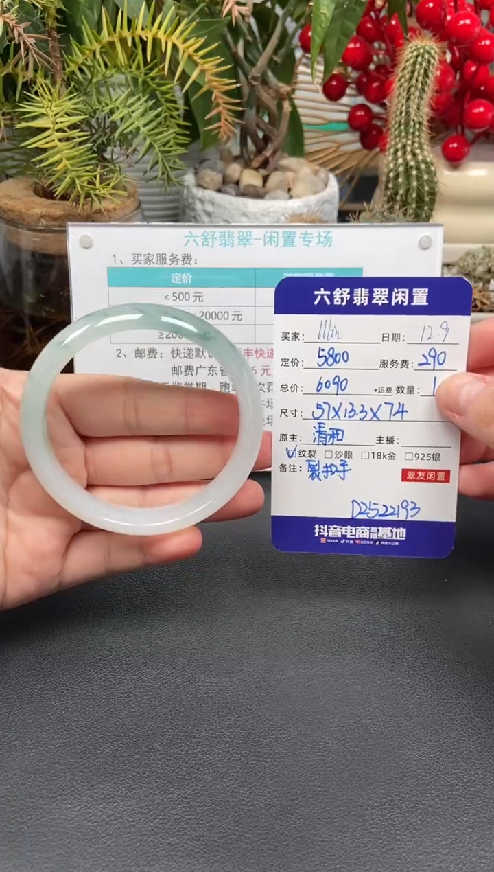 未镶嵌手镯翡翠l****蔺D2522193