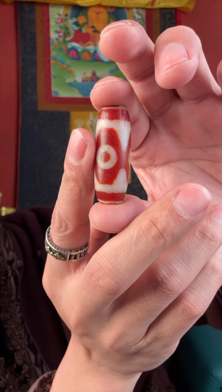 无非金属红肉三眼