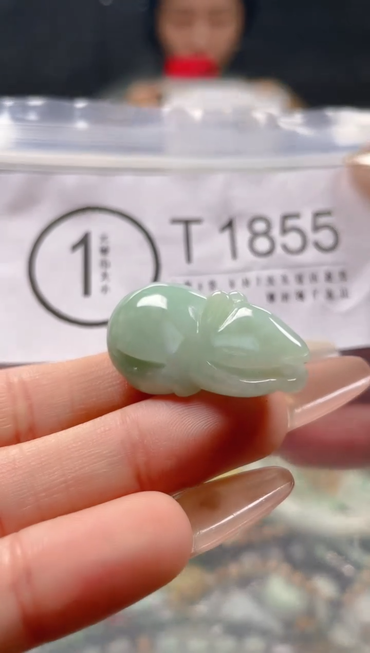 【闪购商品】翡翠颈饰未镶嵌/T/翡翠A货一图一物