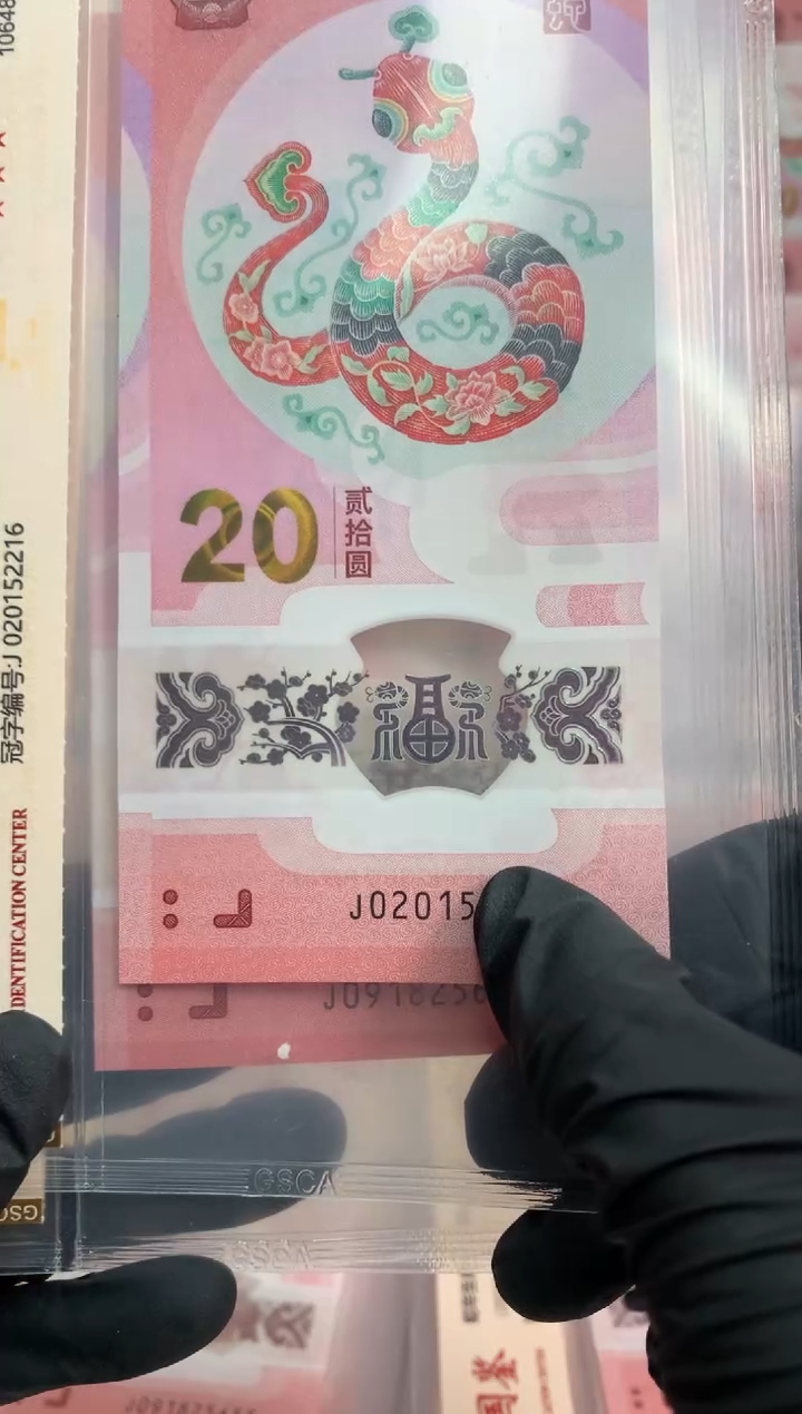 【闪购商品】塑料蛇钞 真钞【单张】2216