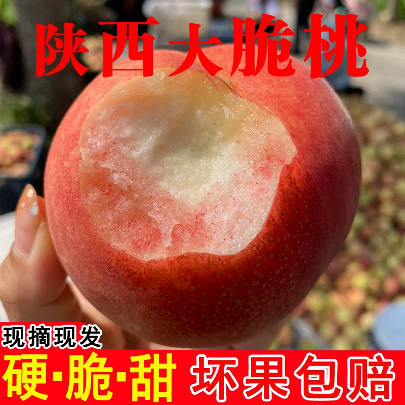 陕西秦岭高山新世纪水蜜桃精品桃