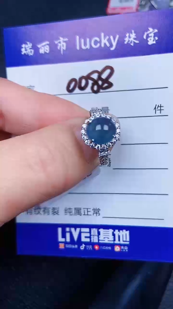 颈饰银S925镶嵌翡翠0088