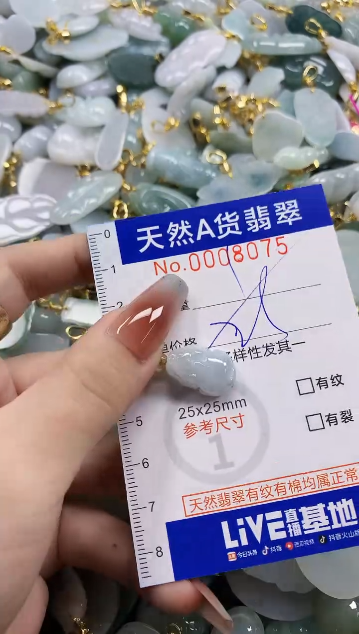 颈饰未镶嵌翡翠天然A货翡翠