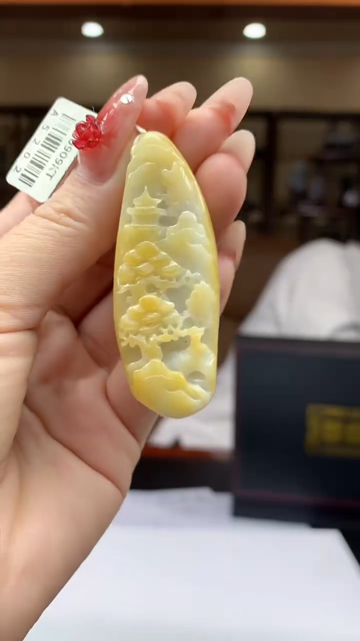 【闪购商品】定制翡翠未镶嵌1002ry-毛货挂件28