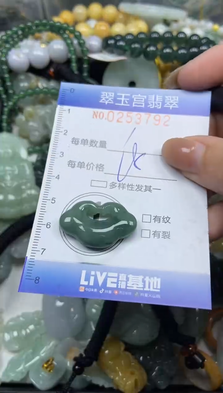 颈饰未镶嵌翡翠闪购C0253792