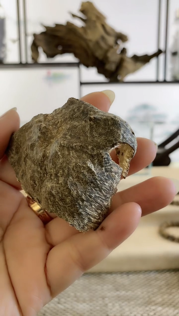 【闪购商品】沉香摆件越南福泽野生料5克左右（多样性发货）