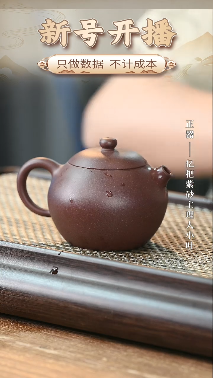 紫砂茶壶@@@QC5309河豚西施