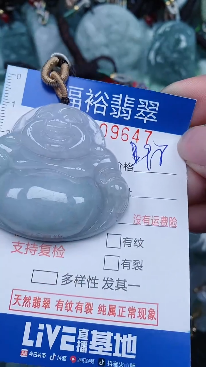 【闪购商品】翡翠颈饰未镶嵌...0009647