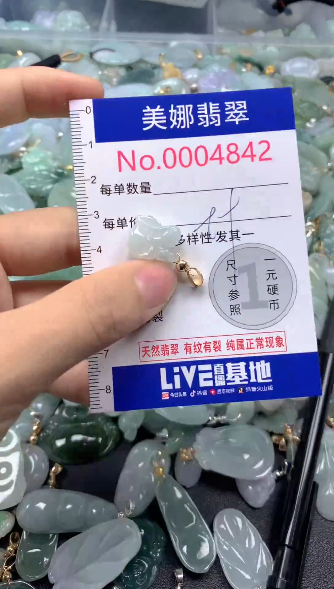 颈饰未镶嵌翡翠4842