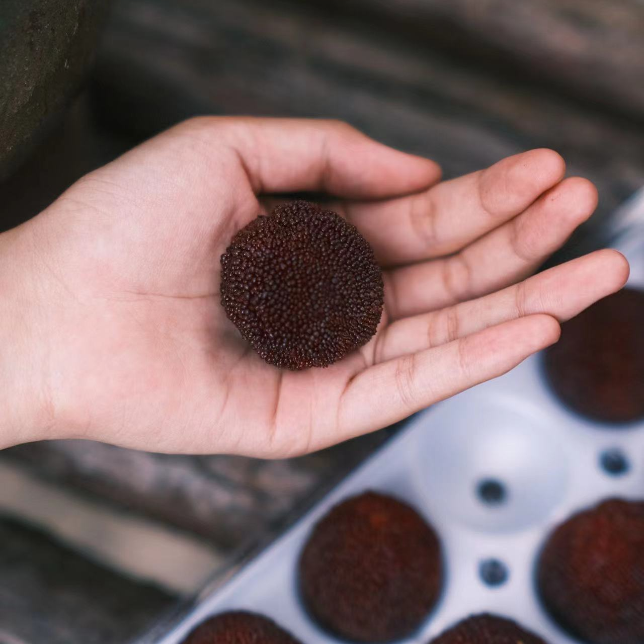 【精品黑炭 96颗粒装】仙居高山小黑碳杨梅2.5斤左右  新鲜采摘