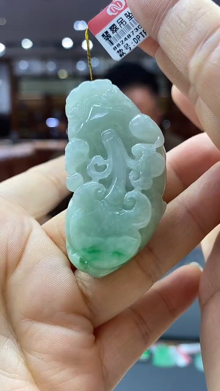 颈饰未镶嵌翡翠貔貅