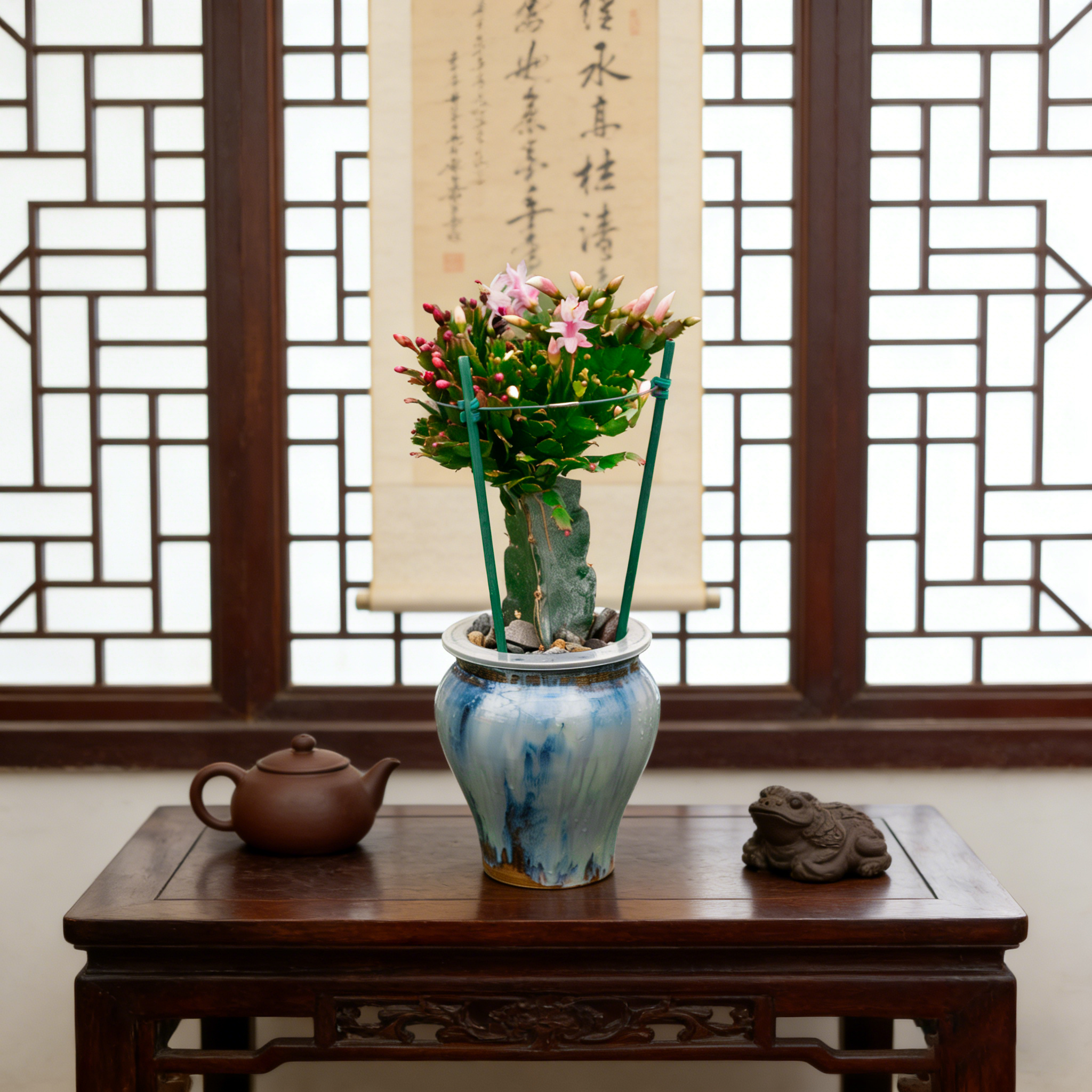 水榭花乡蟹爪兰水培绿植桌面家居好养护简约四季常青