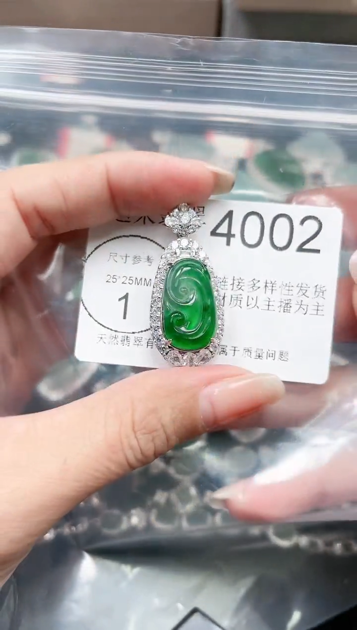 【闪购商品】翡翠颈饰未镶嵌4002赠皮绳