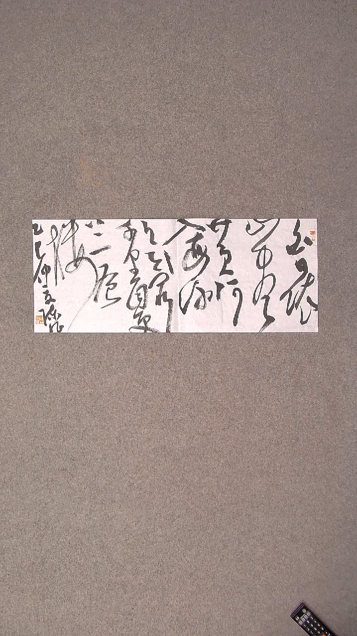 书法陈征 河南南阳 69*28尺寸