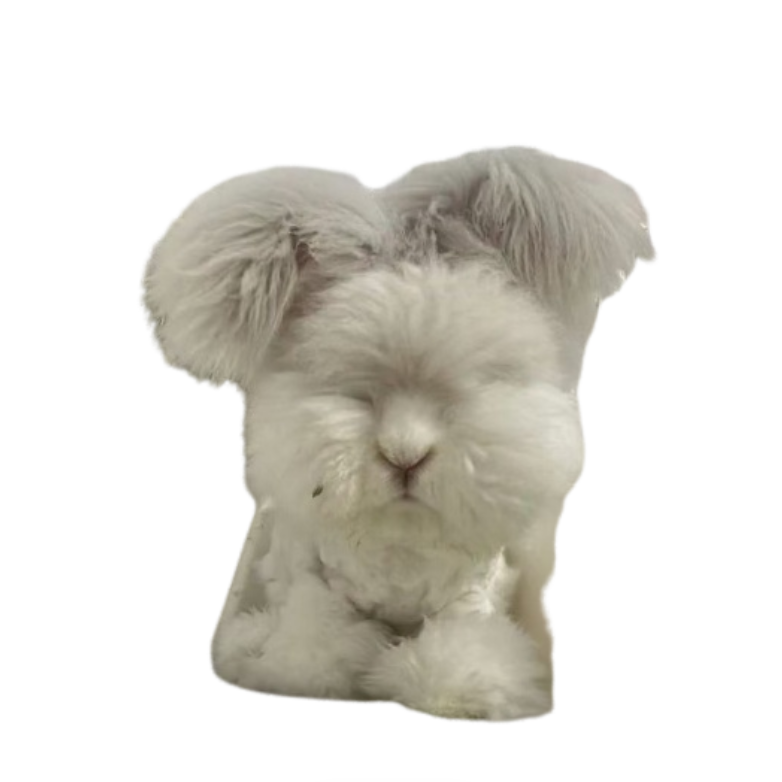 特价安哥拉兔128用 