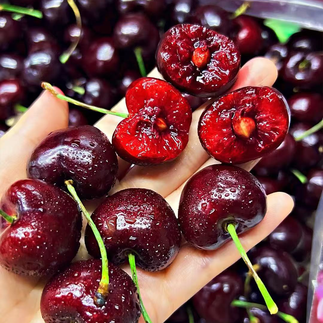 HG11智利进口海运车厘子【顺丰京东包邮】J桑提娜原箱内附果径卡