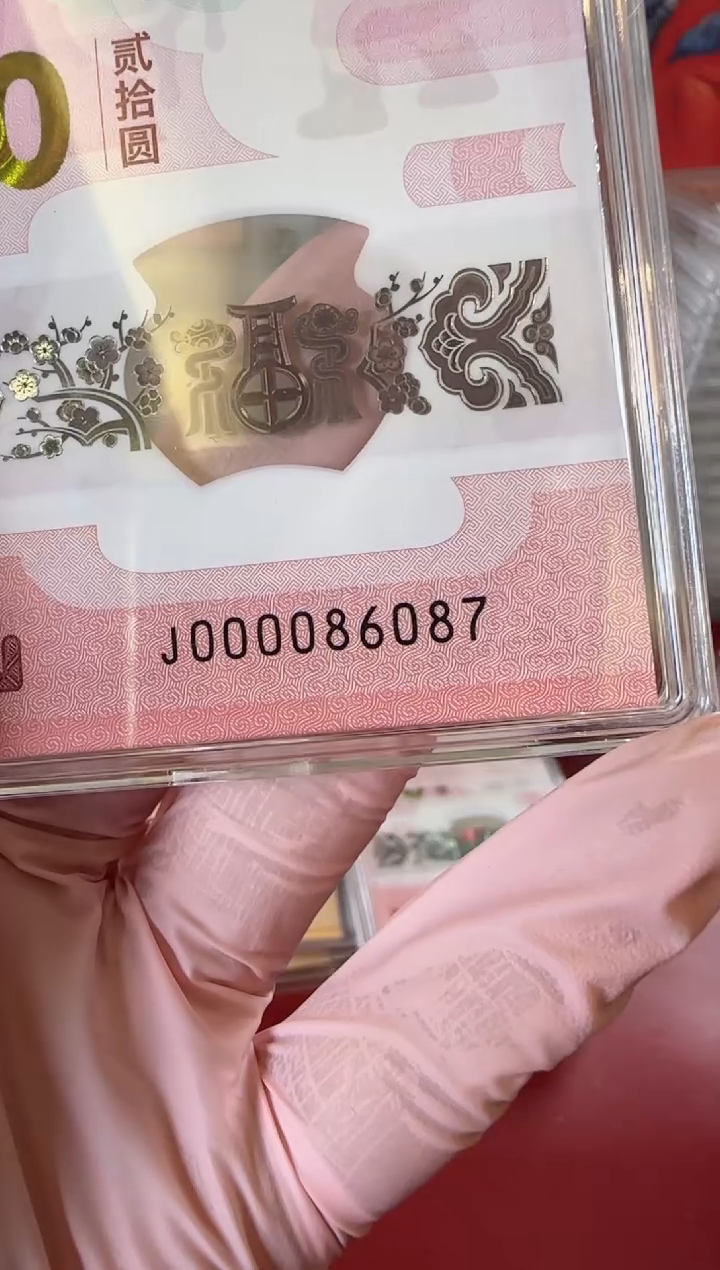 【闪购商品】塑料2025蛇钞 啊啊啊啊啊啊啊啊单张裸