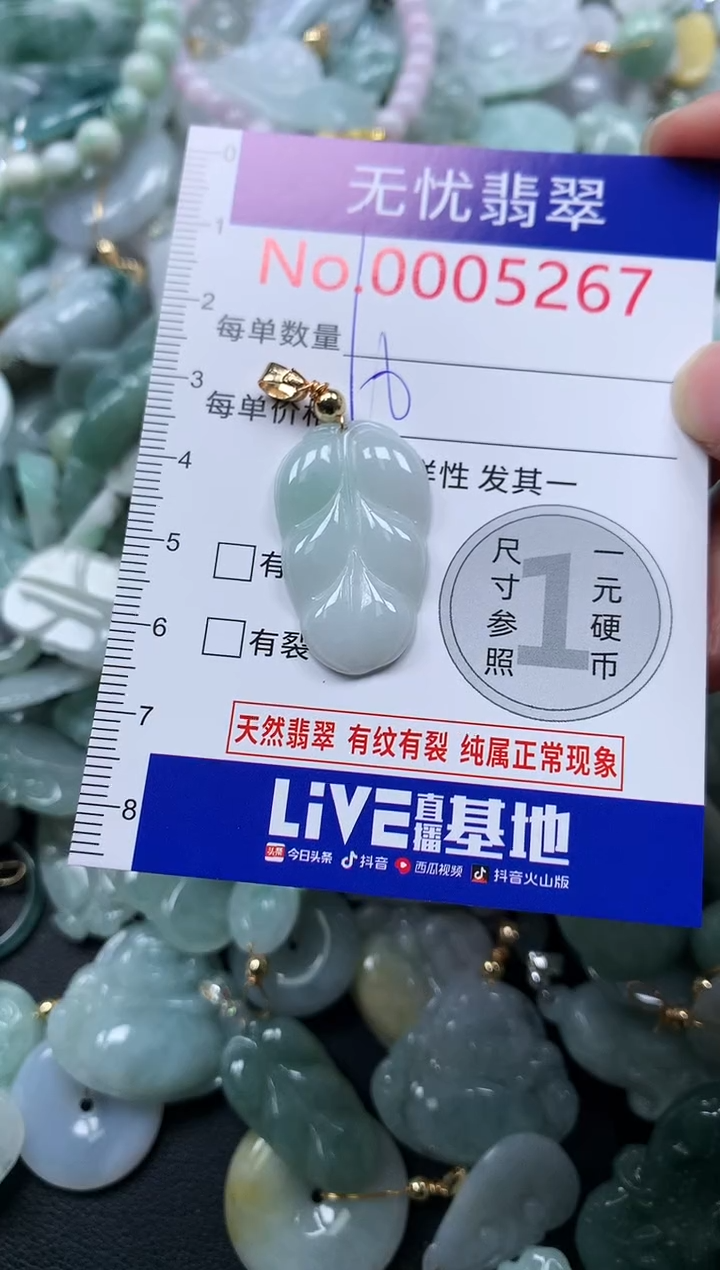 颈饰未镶嵌翡翠5267