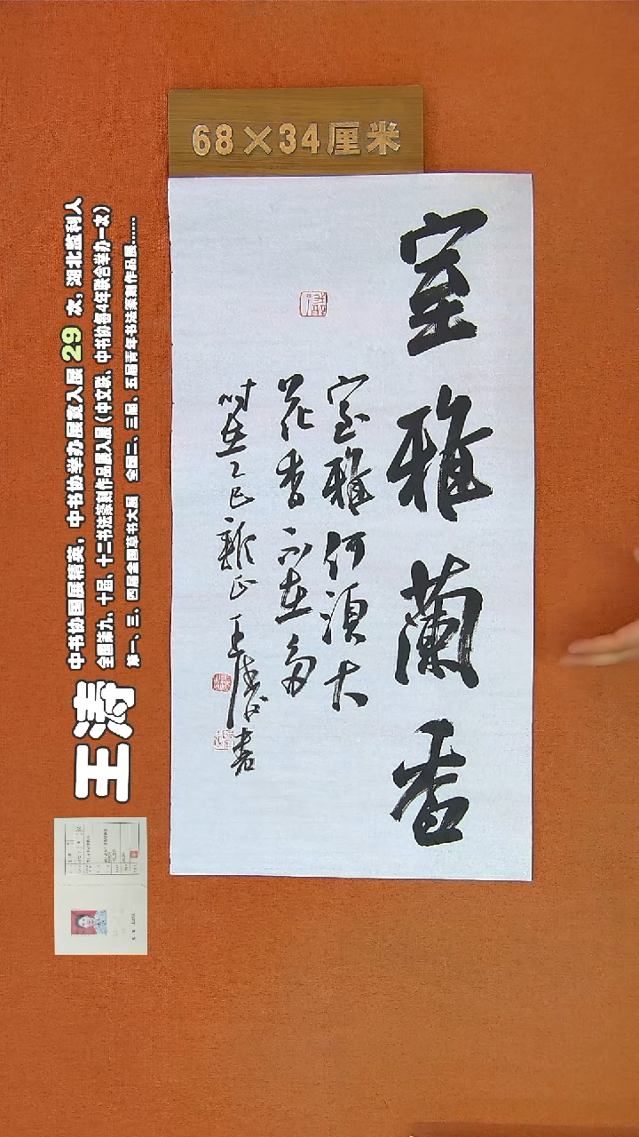 【闪购商品】书法325王涛书法作品