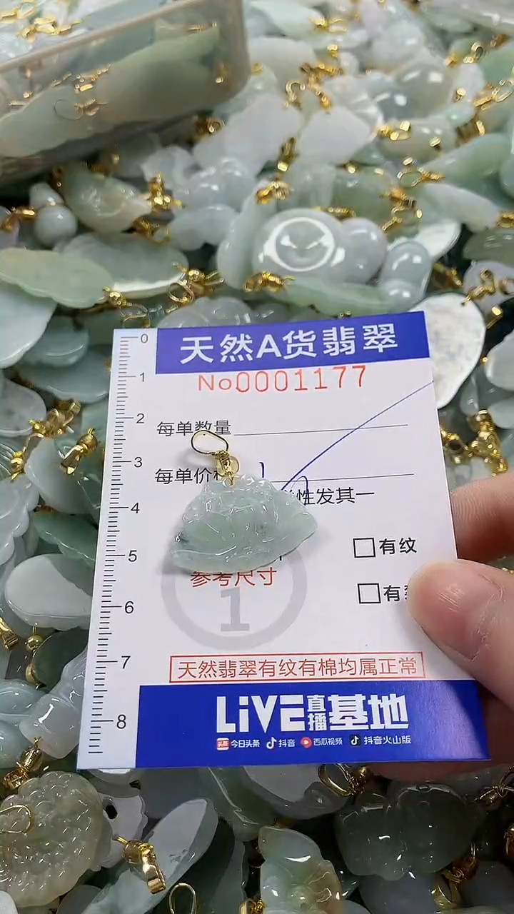 颈饰未镶嵌翡翠纯天然a货翡翠