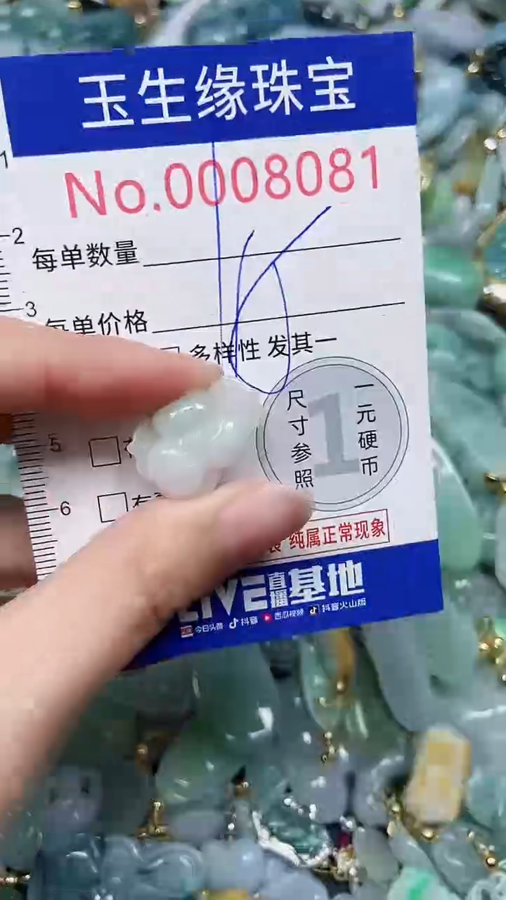 【闪购商品】翡翠颈饰未镶嵌闪购00008081