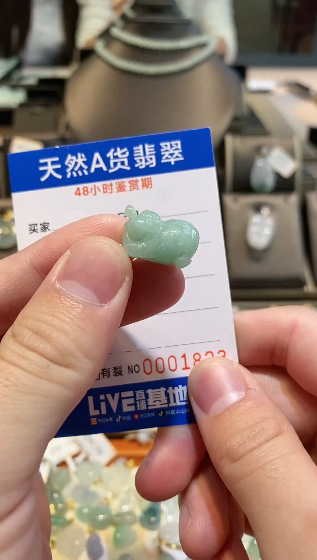 【闪购商品】翡翠颈饰未镶嵌天然A货翡翠一件