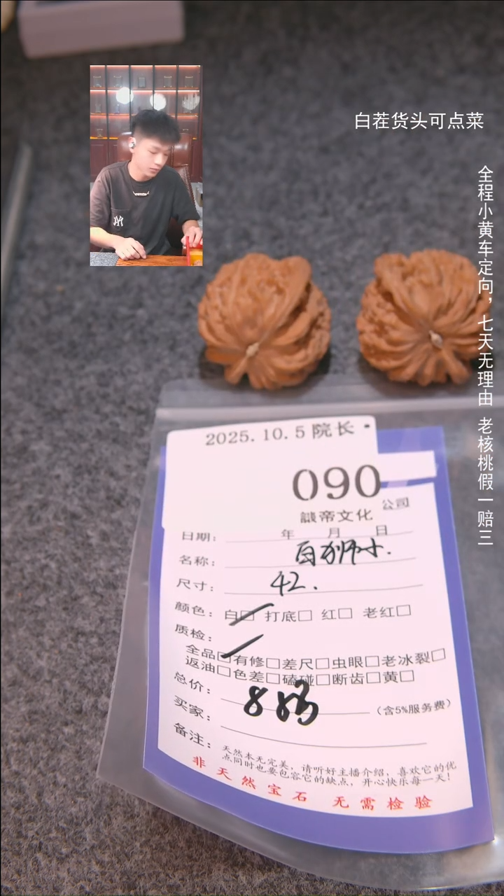 把件文玩核桃家**子白狮子090諘帝文化