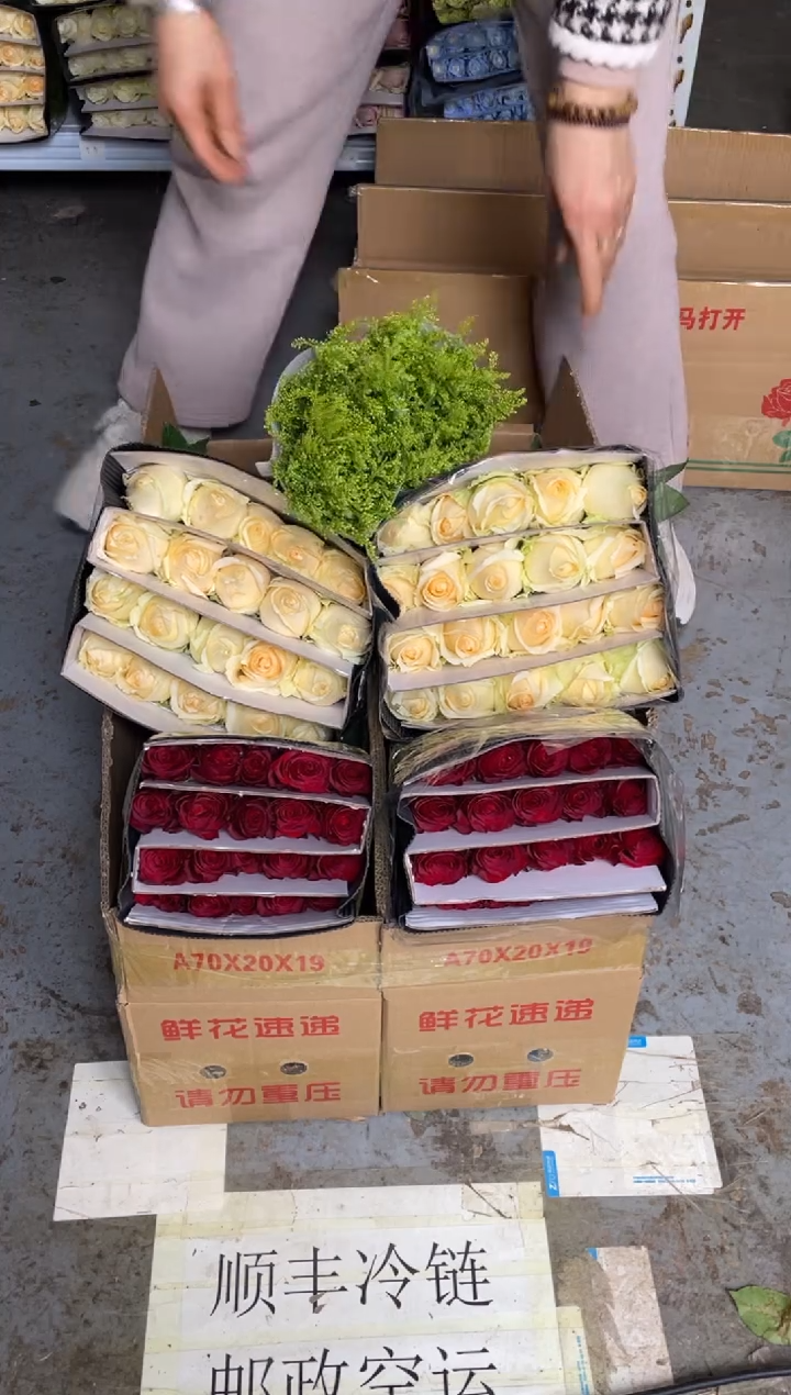 高原红20枝+香槟20枝+黄莺