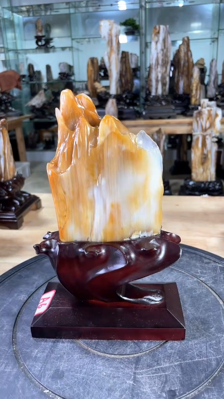 【闪购商品】硅化玉珠宝奇石未镶嵌430