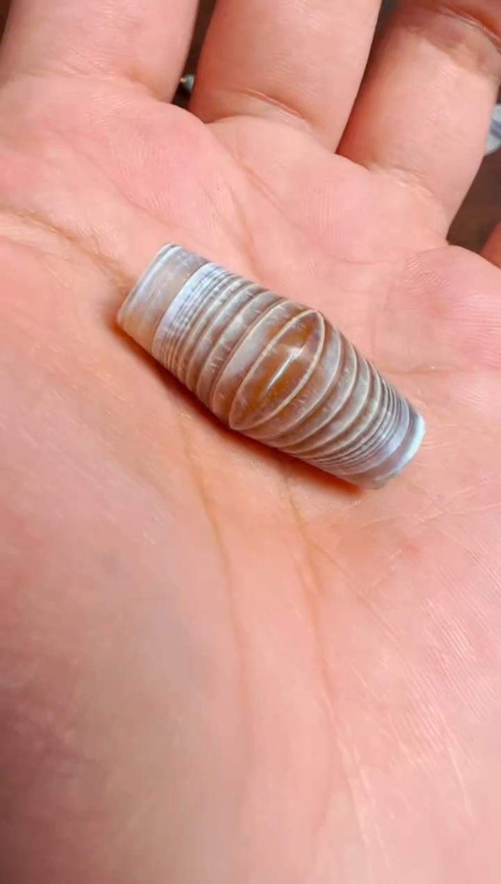 【肖钟出品】东南亚配珠