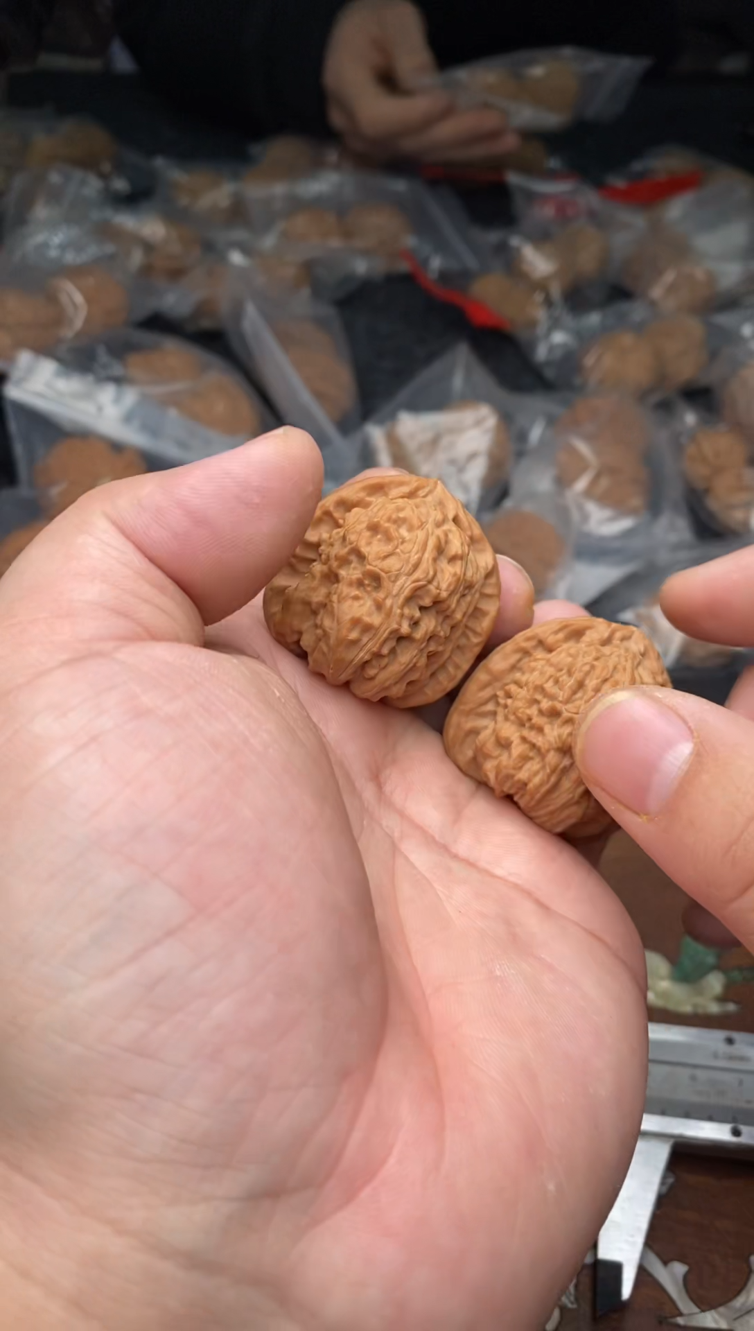 【闪购商品】文玩核桃把件B148号37尺白狮子