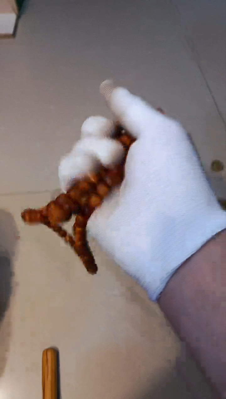 【闪购商品】柏木直切108崖柏崖柏崖柏崖柏崖柏