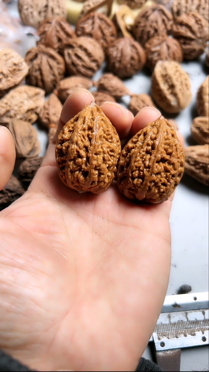 核桃东北野生大秋子4