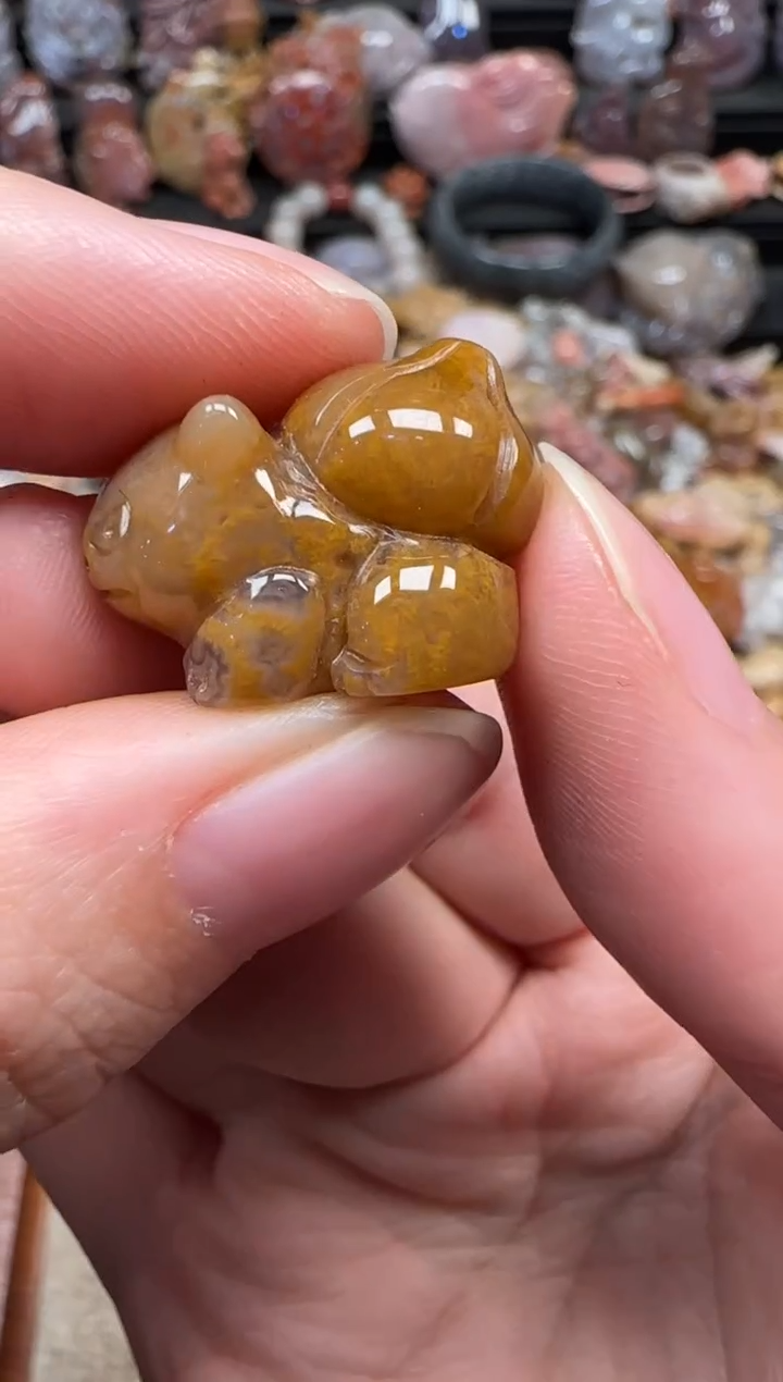 颈饰未镶嵌硅化珊瑚（珊瑚玉）333