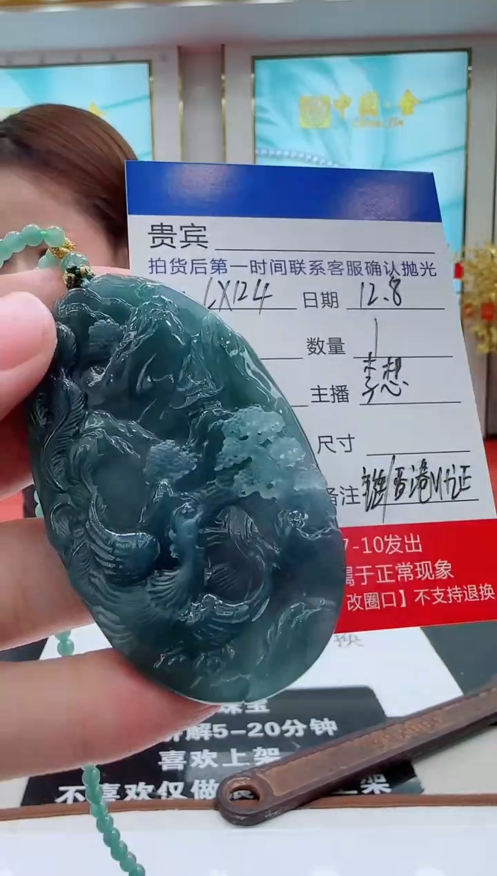 未镶嵌定制翡翠LX124翡翠吊坠赠珠链-多样性发其一