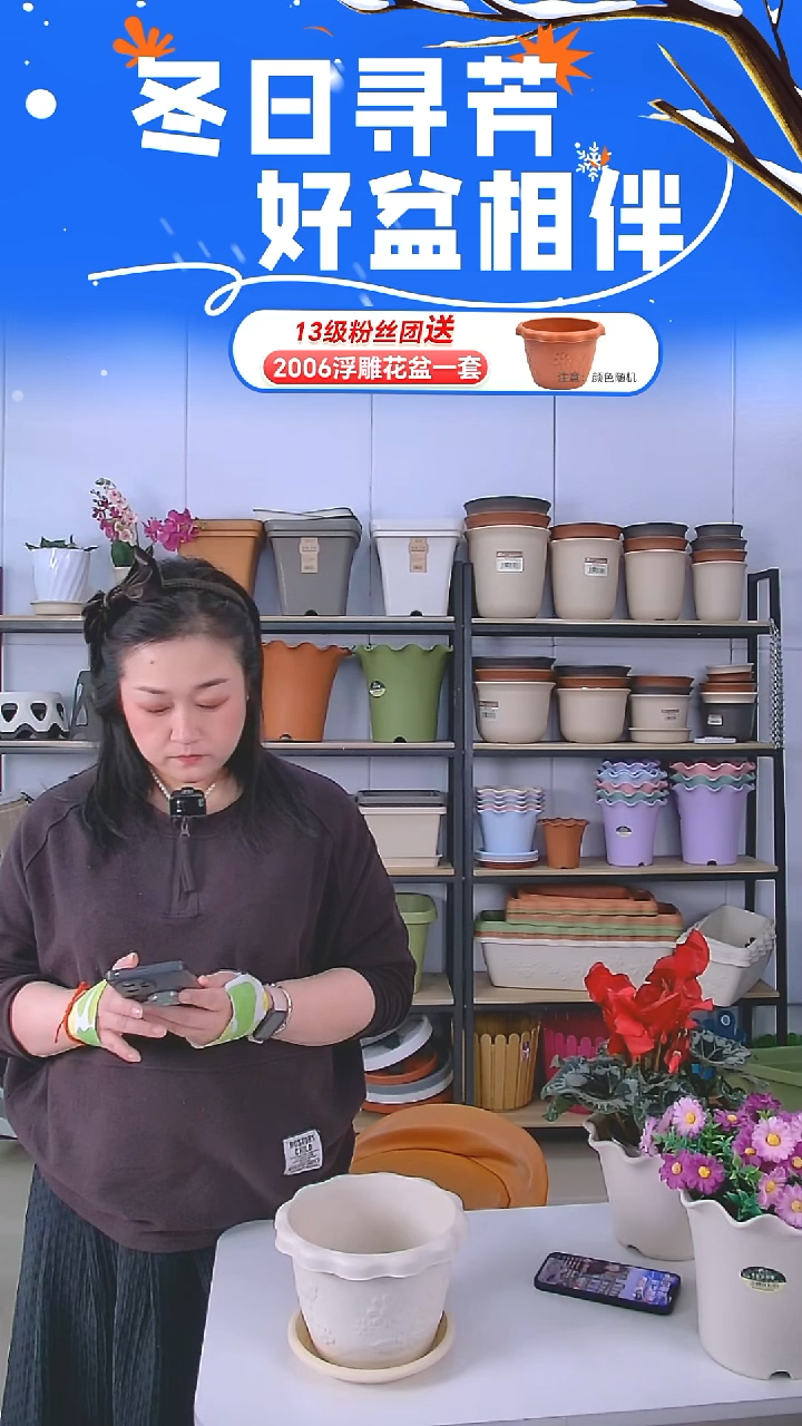 荷叶边5002绿色5套带托盘+2个C-160米白托盘